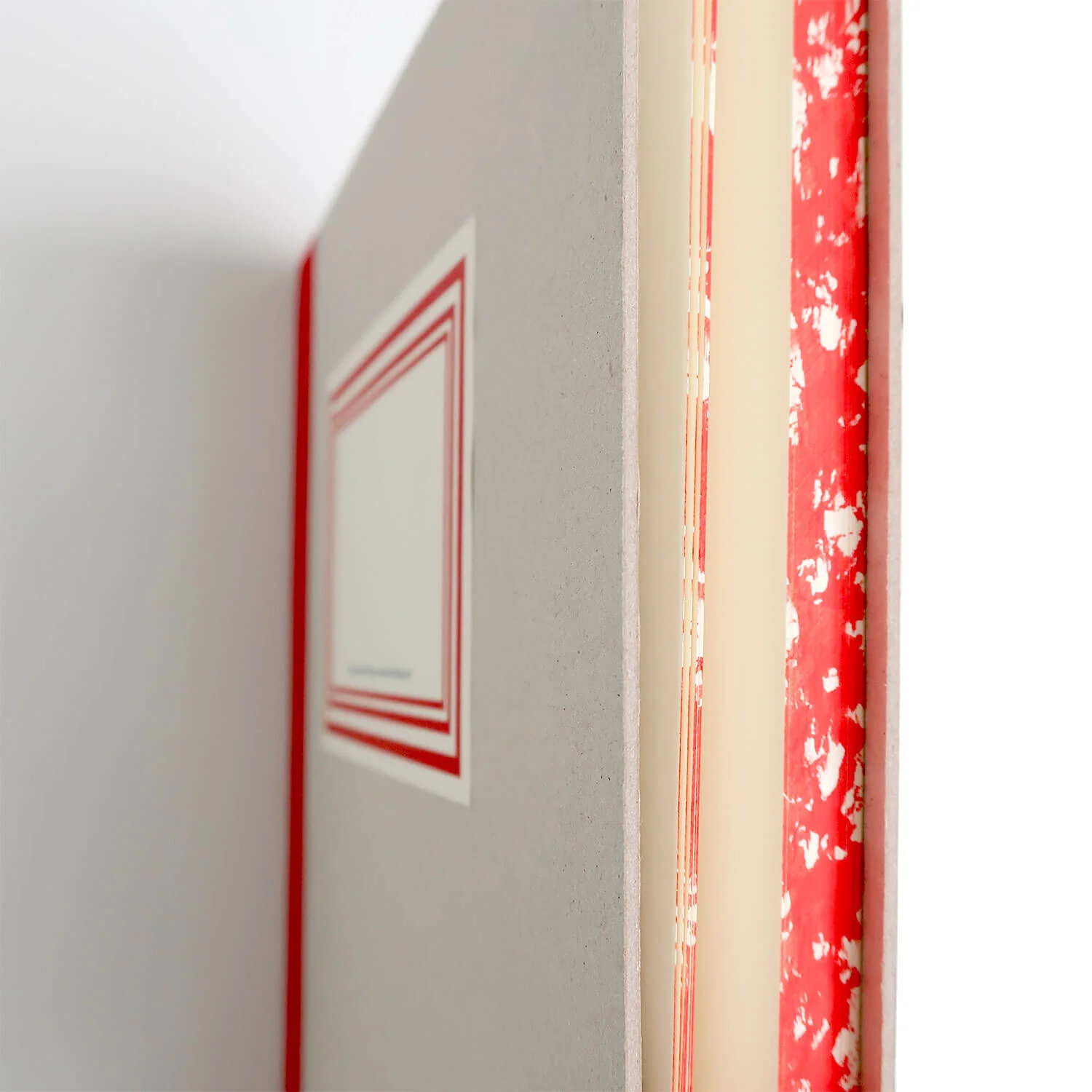 Cardboard Notebook with Band/ A4 (EMILIO BRAGA) - Image 9