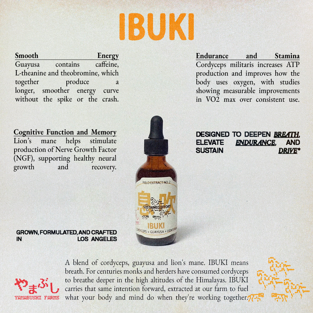 Ibuki Tincture - Image 4