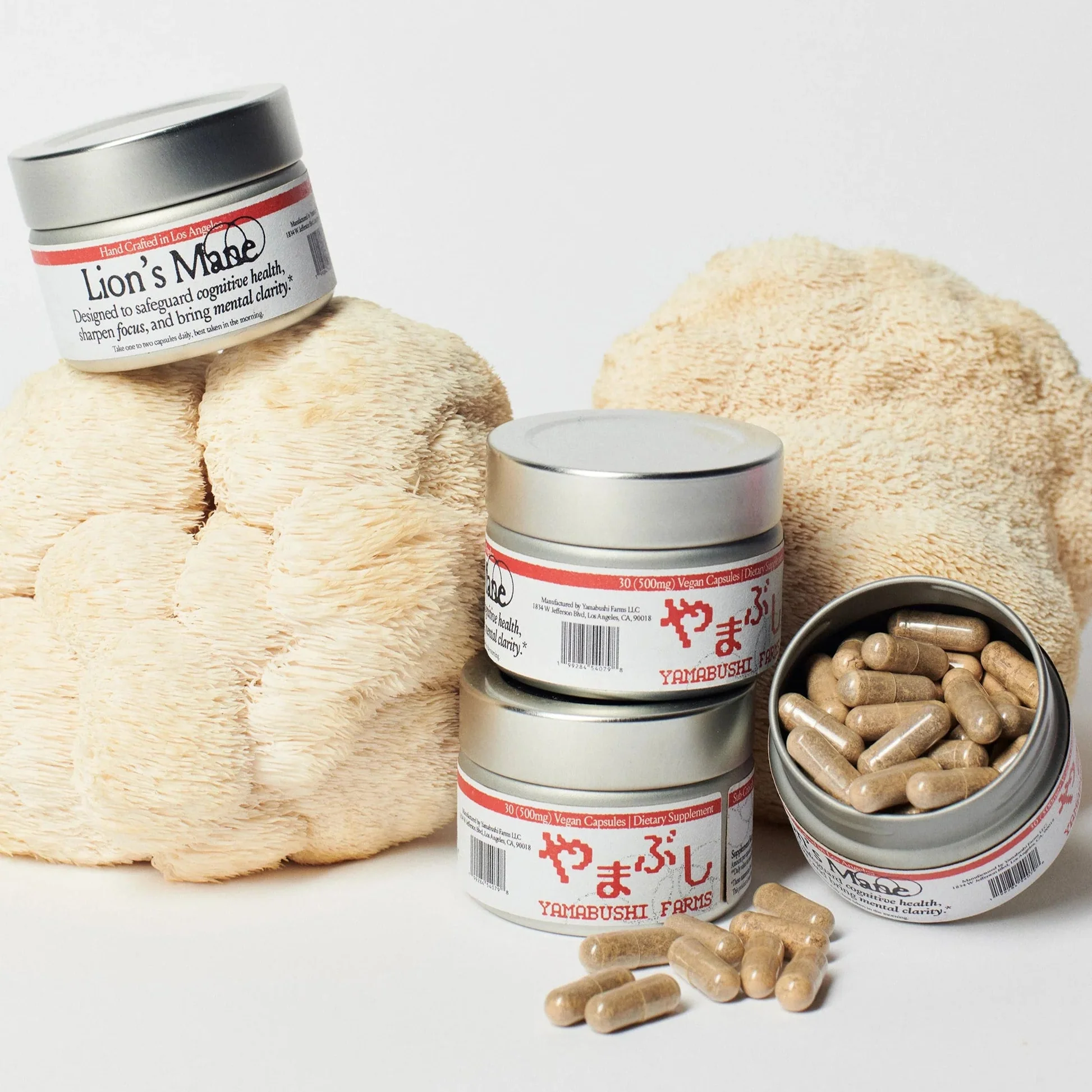Lion's Mane Capsules - Image 3