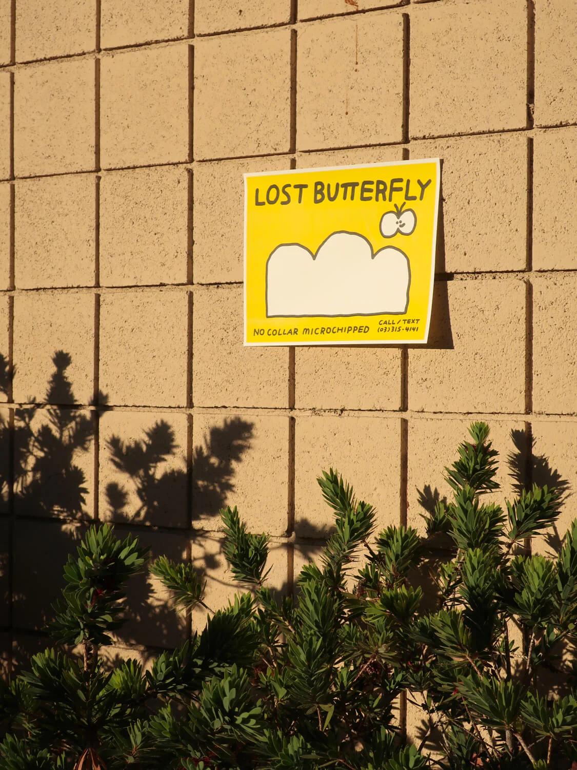 Art Print/ Lost Butterfly - Image 4