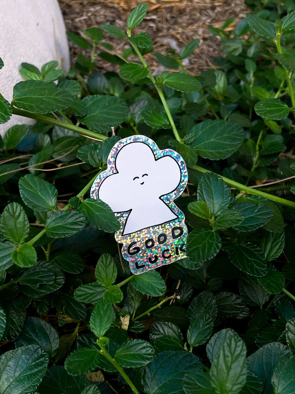Sticker/ Good Luck - Image 6