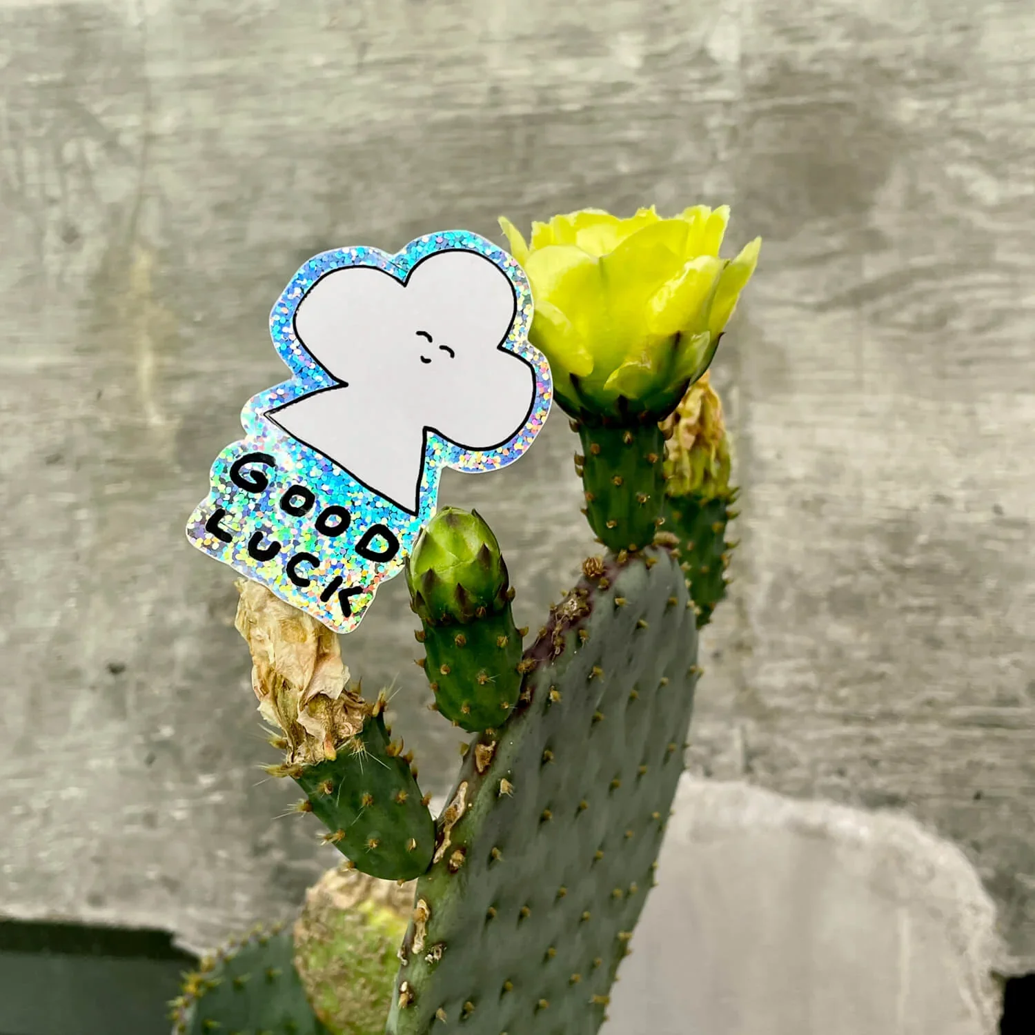 Sticker/ Good Luck Sparkling - Image 2
