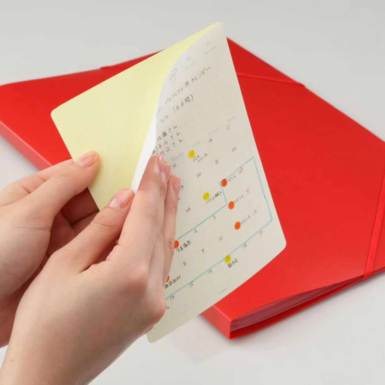 Removable Calendar Sticker M (STALOGY) - Image 3