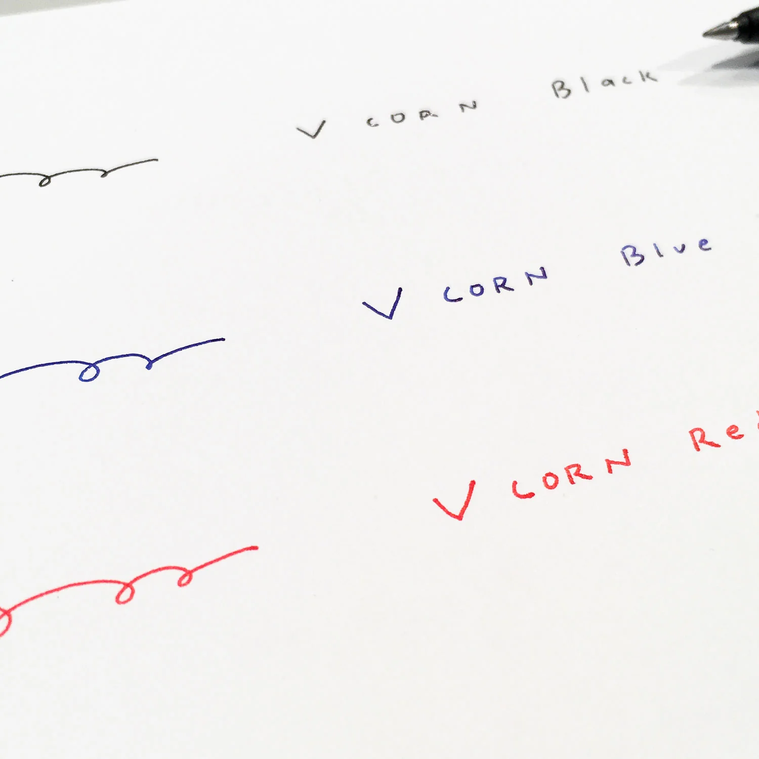 Vcorn Rollerball Pen (PILOT) - Image 9